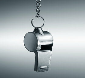 Securities Fraud